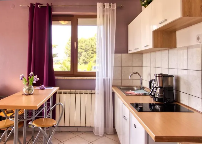 아파트 Apartman Studio